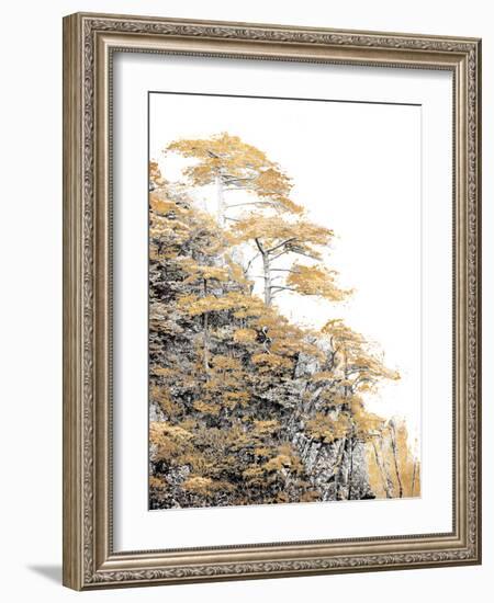 Immortal Pine-Shelley Lake-Framed Photographic Print