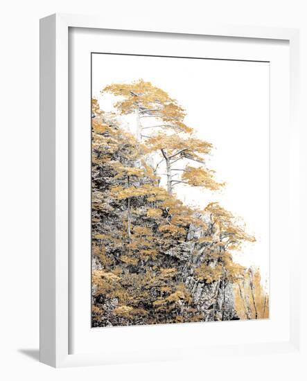 Immortal Pine-Shelley Lake-Framed Photographic Print