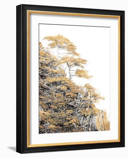 Immortal Pine-Shelley Lake-Framed Photographic Print