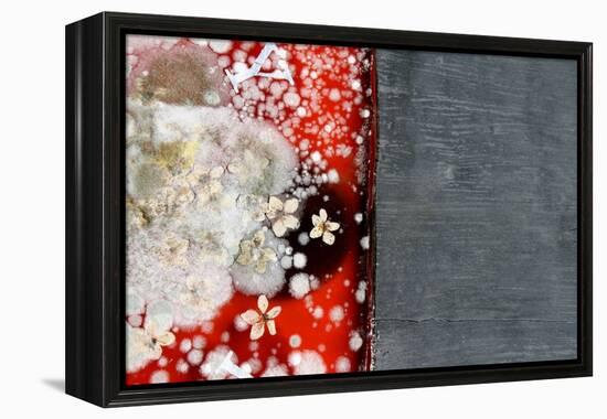 Immortality 2-Charlie Millar-Framed Premier Image Canvas