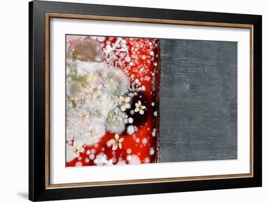 Immortality 2-Charlie Millar-Framed Giclee Print