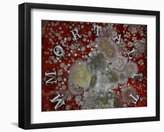 Immortality-Charlie Millar-Framed Giclee Print