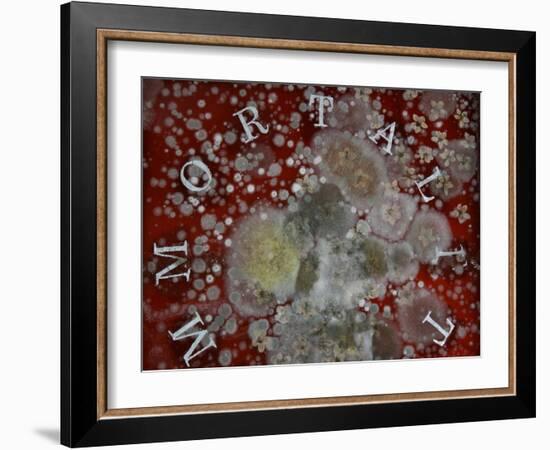 Immortality-Charlie Millar-Framed Giclee Print