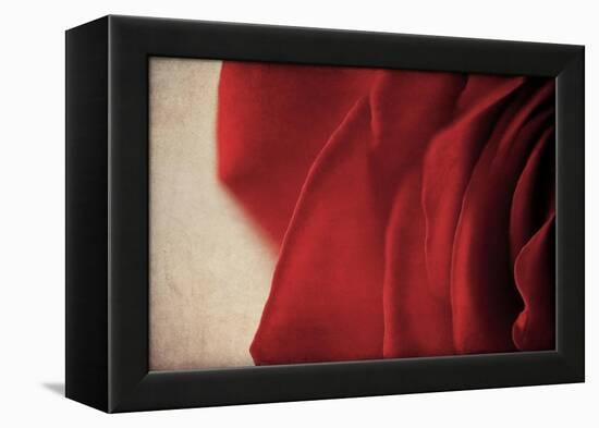 Immortalized-Jessica Rogers-Framed Premier Image Canvas