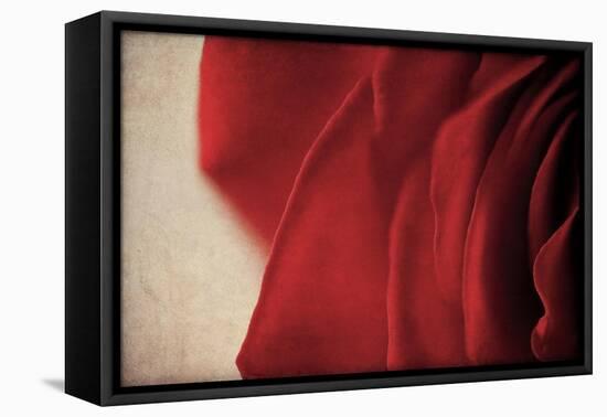 Immortalized-Jessica Rogers-Framed Premier Image Canvas