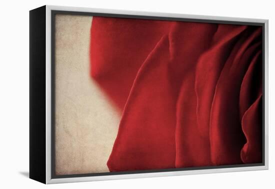 Immortalized-Jessica Rogers-Framed Premier Image Canvas