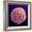 Immune System Cell, SEM-Steve Gschmeissner-Framed Premium Photographic Print