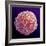 Immune System Cell, SEM-Steve Gschmeissner-Framed Premium Photographic Print