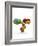 Immunoglobulin G Antibody Molecule-PASIEKA-Framed Photographic Print