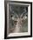 Impala (Aepyceros Melampus) Buck, Kruger National Park, South Africa, Africa-James Hager-Framed Photographic Print