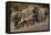 Impala and African elephants, Mashatu Reserve, Botswana-Art Wolfe-Framed Premier Image Canvas