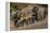 Impala and African elephants, Mashatu Reserve, Botswana-Art Wolfe-Framed Premier Image Canvas