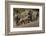 Impala and African elephants, Mashatu Reserve, Botswana-Art Wolfe-Framed Photographic Print