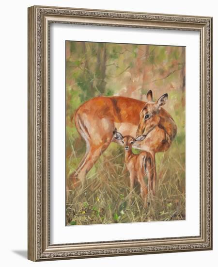 Impala and young-David Stribbling-Framed Art Print