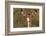 Impala Portrait, Ruaha National Park, Tanzania - an Alert Ewe Stares Directly at the Camera-William Gray-Framed Photographic Print