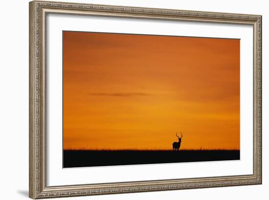 Impala Silhouette at Sunrise-Paul Souders-Framed Photographic Print