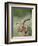 Impala with a Red-Billed Oxpecker Cleaning its Ear, Kruger National Park, South Africa-James Hager-Framed Photographic Print