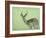 Impala-James W. Johnson-Framed Giclee Print