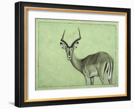 Impala-James W. Johnson-Framed Giclee Print