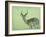 Impala-James W. Johnson-Framed Giclee Print