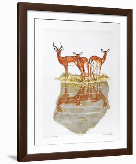 Impalas at Waterhole-Caroline Schultz-Framed Collectable Print