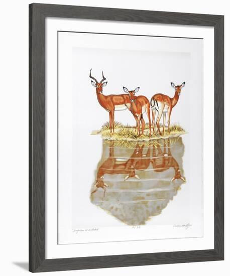 Impalas at Waterhole-Caroline Schultz-Framed Collectable Print