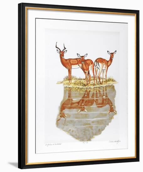 Impalas at Waterhole-Caroline Schultz-Framed Collectable Print