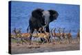 Stretched Canvas Print