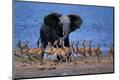 Premium Photographic Print