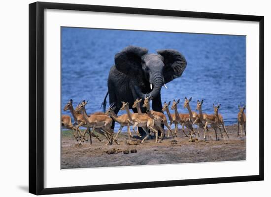Photographic Print, , large