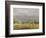 Impasto Landscape VI-Ethan Harper-Framed Art Print