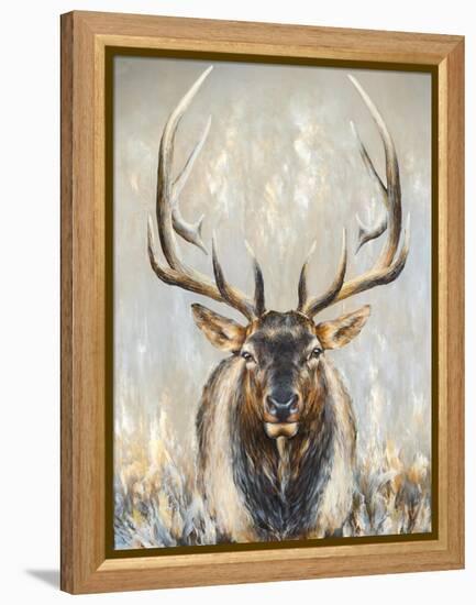 Imperial Bull Elk-Dina Perejogina-Framed Stretched Canvas