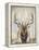 Imperial Bull Elk-Dina Perejogina-Framed Stretched Canvas