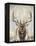 Imperial Bull Elk-Dina Perejogina-Framed Stretched Canvas