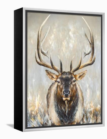 Imperial Bull Elk-Dina Perejogina-Framed Stretched Canvas