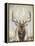 Imperial Bull Elk-Dina Perejogina-Framed Stretched Canvas