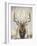 Imperial Bull Elk-Dina Perejogina-Framed Art Print