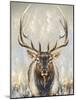 Imperial Bull Elk-Dina Perejogina-Mounted Art Print