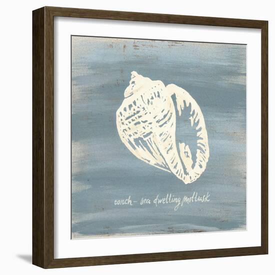 Imperial Conch-Z Studio-Framed Art Print