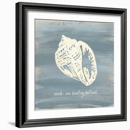 Imperial Conch-Z Studio-Framed Art Print