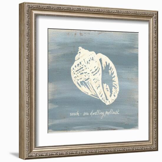 Imperial Conch-Z Studio-Framed Art Print