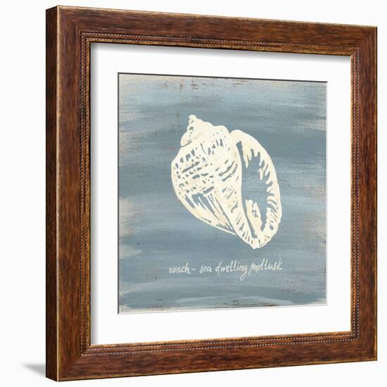 Imperial Conch-Z Studio-Framed Art Print