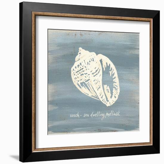 Imperial Conch-Z Studio-Framed Art Print