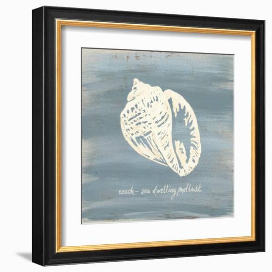 Imperial Conch-Z Studio-Framed Art Print