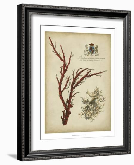 Imperial Coral I-null-Framed Art Print