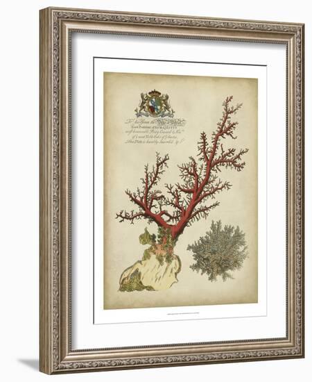 Imperial Coral II-null-Framed Art Print