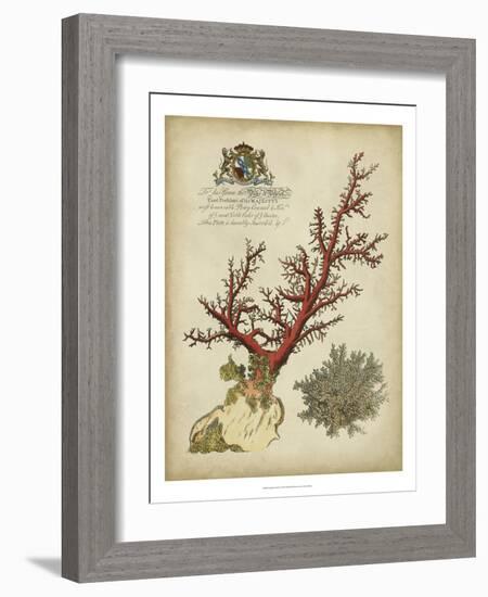 Imperial Coral II-null-Framed Art Print