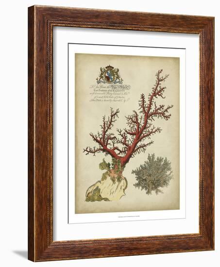 Imperial Coral II-null-Framed Art Print