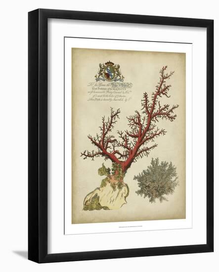 Imperial Coral II-null-Framed Art Print