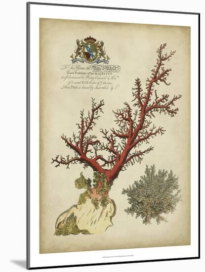 Imperial Coral II-null-Mounted Art Print
